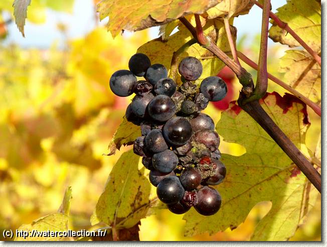 Diapositive suivante